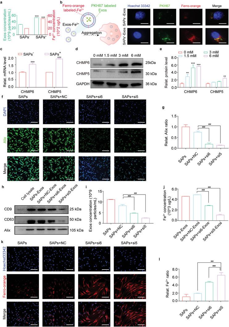 https://cdn.ncbi.nlm.nih.gov/pmc/blobs/2fc7/10477857/f8f67ceb8468/ADVS-10-2300414-g007.jpg