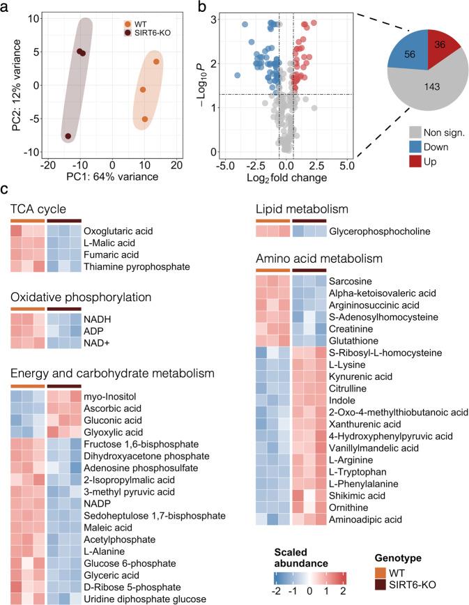 https://cdn.ncbi.nlm.nih.gov/pmc/blobs/2fc9/9849342/09329cb2d561/41419_2022_5542_Fig2_HTML.jpg