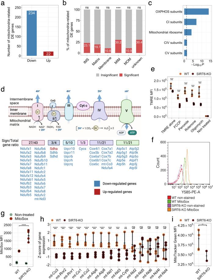 https://cdn.ncbi.nlm.nih.gov/pmc/blobs/2fc9/9849342/1e872a08cdc1/41419_2022_5542_Fig3_HTML.jpg