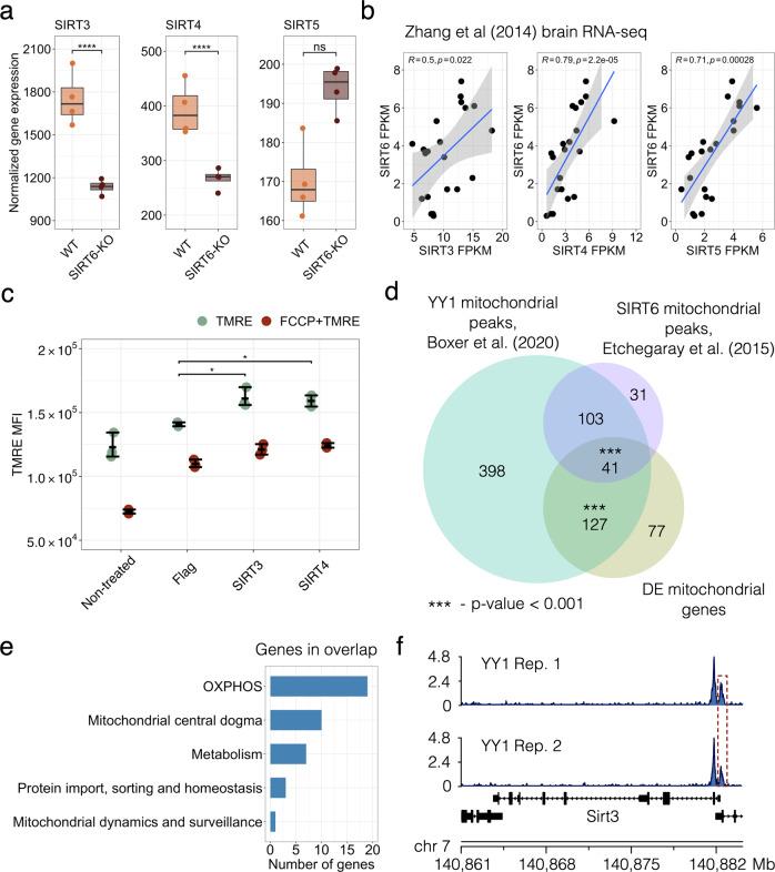https://cdn.ncbi.nlm.nih.gov/pmc/blobs/2fc9/9849342/94b7e4ecbb8b/41419_2022_5542_Fig4_HTML.jpg
