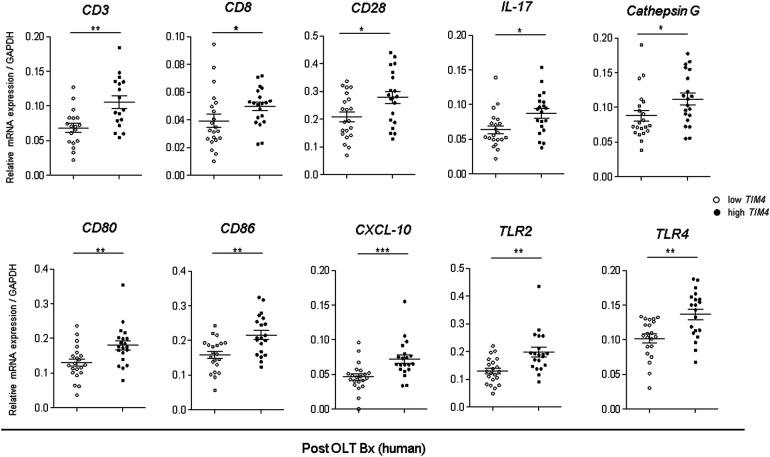 https://cdn.ncbi.nlm.nih.gov/pmc/blobs/2fca/11235257/37f68a59334d/frtra-02-1176384-g006.jpg