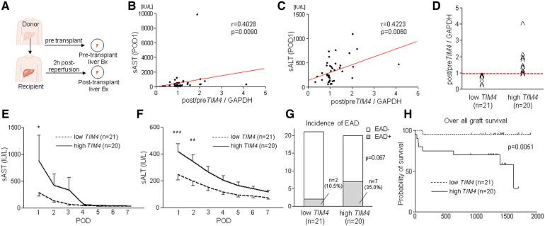 https://cdn.ncbi.nlm.nih.gov/pmc/blobs/2fca/11235257/38a7f93e5403/frtra-02-1176384-g005.jpg