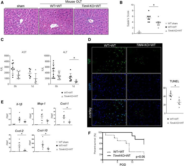 https://cdn.ncbi.nlm.nih.gov/pmc/blobs/2fca/11235257/5ed688167f2b/frtra-02-1176384-g001.jpg