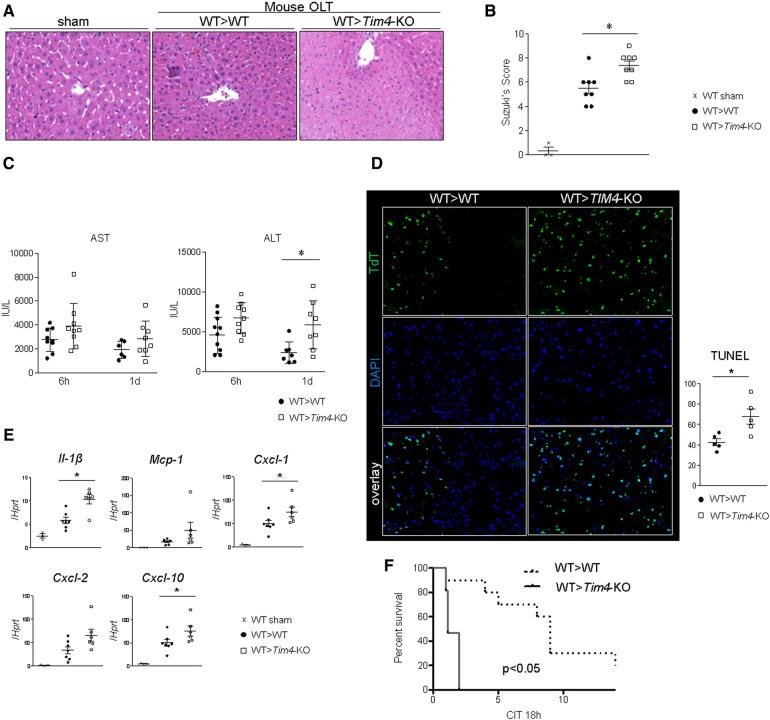 https://cdn.ncbi.nlm.nih.gov/pmc/blobs/2fca/11235257/7bf31e3c0cfb/frtra-02-1176384-g002.jpg