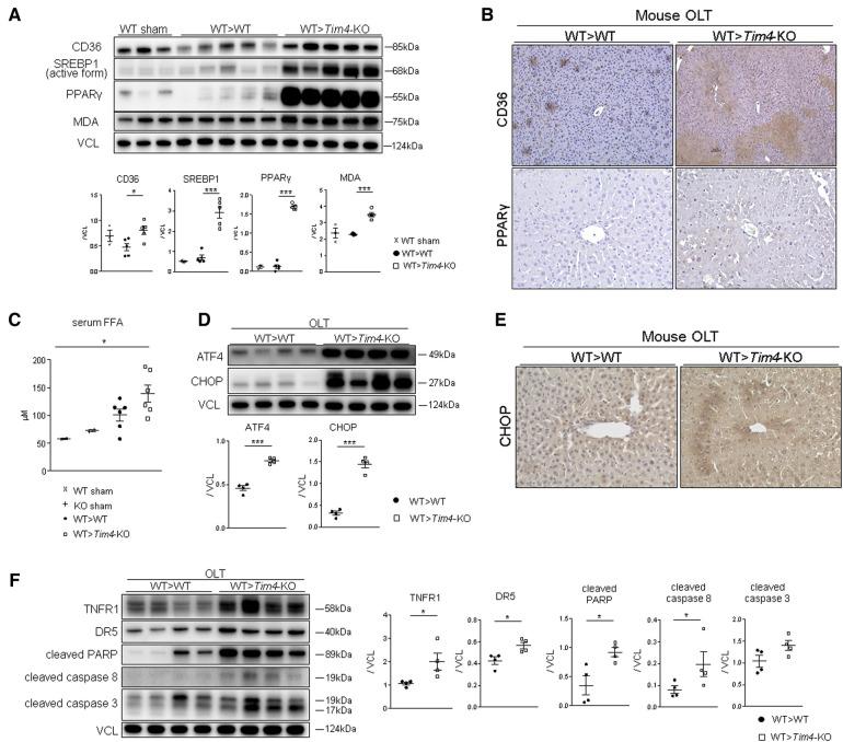 https://cdn.ncbi.nlm.nih.gov/pmc/blobs/2fca/11235257/e4bdf77a60e5/frtra-02-1176384-g003.jpg
