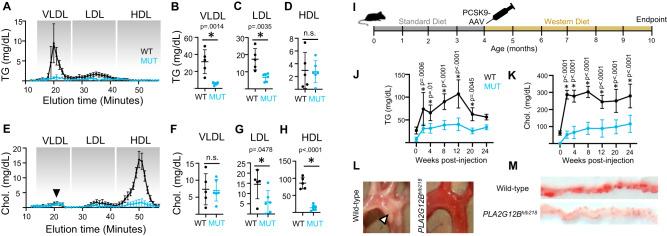 https://cdn.ncbi.nlm.nih.gov/pmc/blobs/2fce/10920679/aee9b344226c/41467_2024_46102_Fig5_HTML.jpg