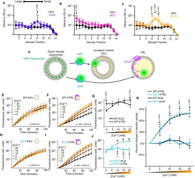 https://cdn.ncbi.nlm.nih.gov/pmc/blobs/2fce/10920679/e6fbcbb8779e/41467_2024_46102_Fig4_HTML.jpg
