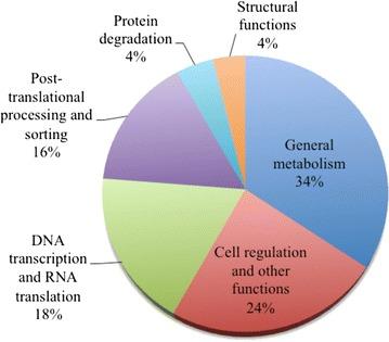 https://cdn.ncbi.nlm.nih.gov/pmc/blobs/2fce/4779267/c6b94c3e78cb/12867_2016_59_Fig2_HTML.jpg