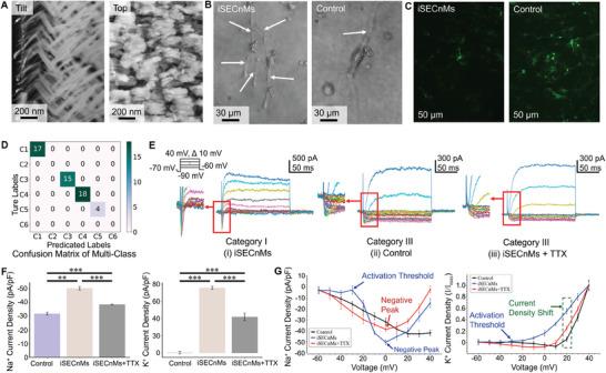 https://cdn.ncbi.nlm.nih.gov/pmc/blobs/2fcf/12083860/0ed5572bd664/ADVS-12-2404166-g006.jpg