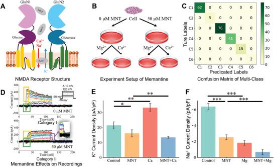 https://cdn.ncbi.nlm.nih.gov/pmc/blobs/2fcf/12083860/3ccd0dbb460f/ADVS-12-2404166-g007.jpg