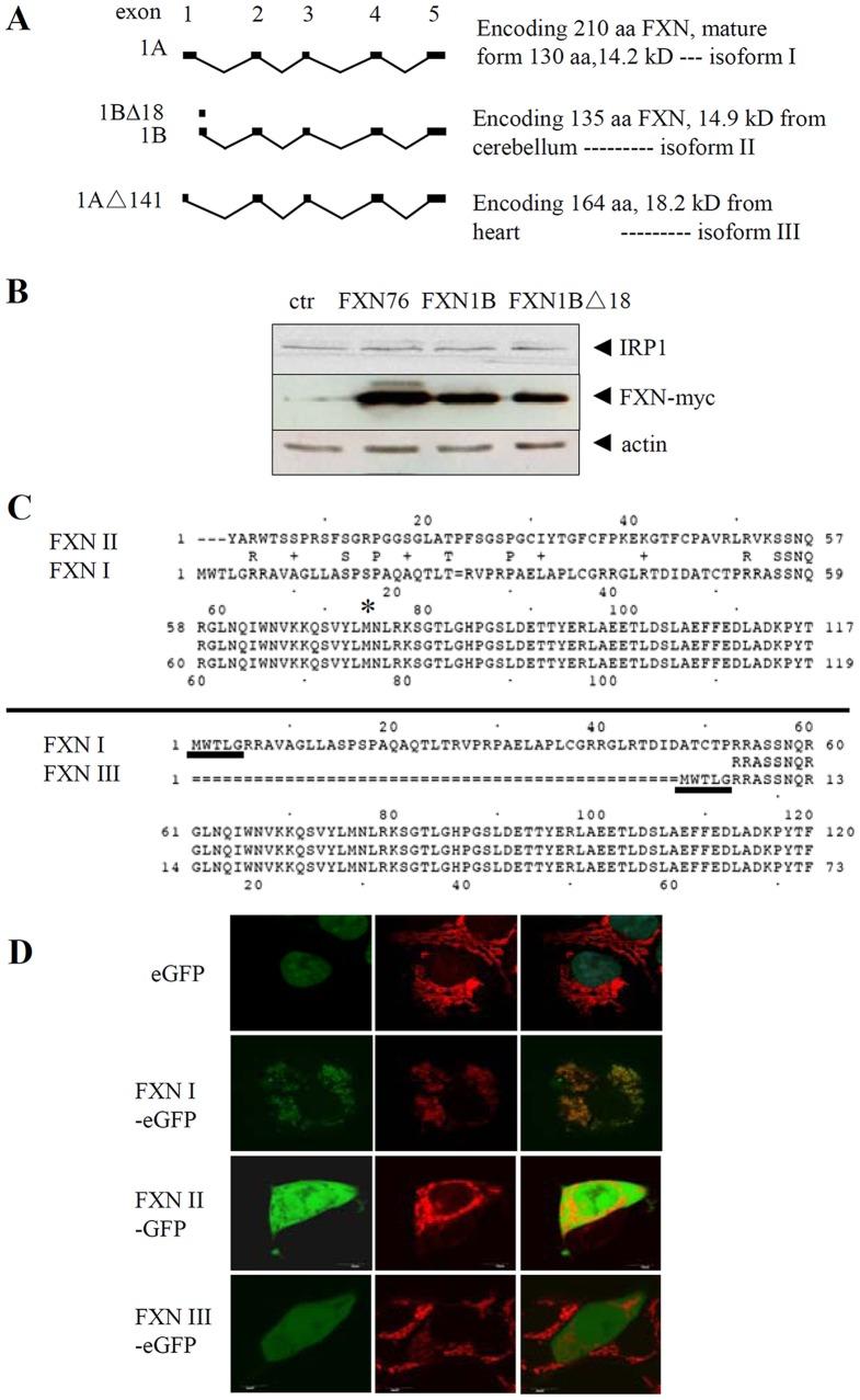 https://cdn.ncbi.nlm.nih.gov/pmc/blobs/2fcf/3474739/6092a1637631/pone.0047847.g002.jpg