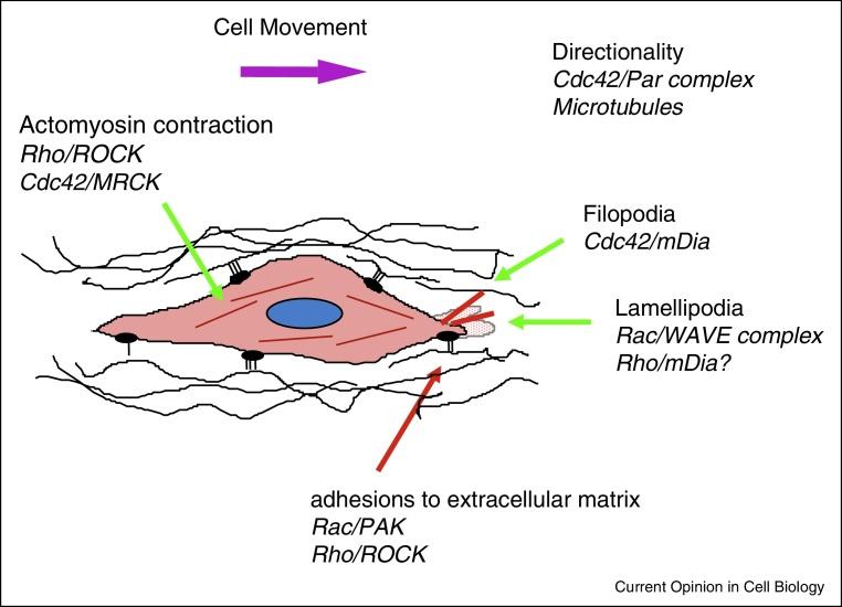 https://cdn.ncbi.nlm.nih.gov/pmc/blobs/2fcf/4728192/a27901a46e5e/gr1.jpg