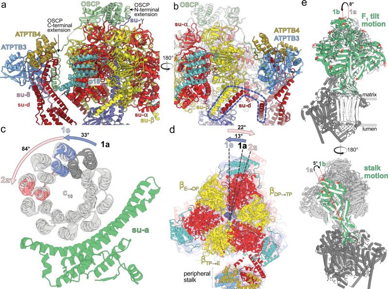 https://cdn.ncbi.nlm.nih.gov/pmc/blobs/2fd0/9553925/0daaedb55264/41467_2022_33588_Fig3_HTML.jpg