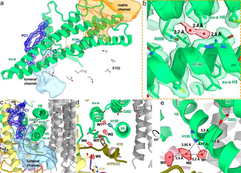 https://cdn.ncbi.nlm.nih.gov/pmc/blobs/2fd0/9553925/46595ed79be1/41467_2022_33588_Fig4_HTML.jpg