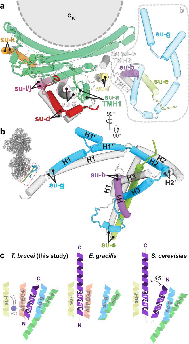https://cdn.ncbi.nlm.nih.gov/pmc/blobs/2fd0/9553925/a5be764fc3a4/41467_2022_33588_Fig2_HTML.jpg
