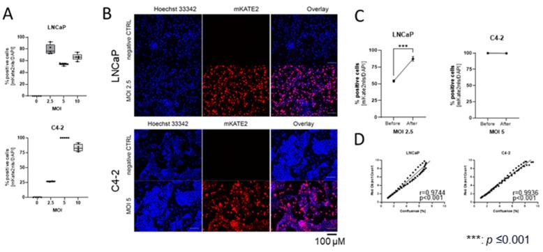 https://cdn.ncbi.nlm.nih.gov/pmc/blobs/2fd1/11394735/05ac73d691f2/ijms-25-09275-g001.jpg