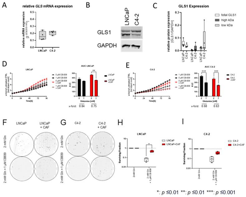https://cdn.ncbi.nlm.nih.gov/pmc/blobs/2fd1/11394735/39a26e749d28/ijms-25-09275-g004.jpg