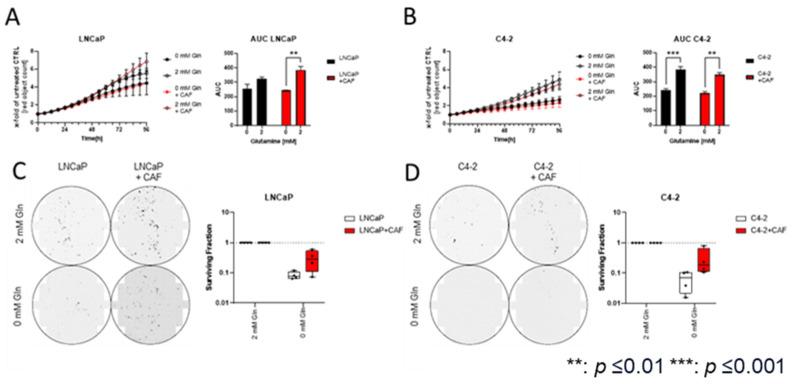 https://cdn.ncbi.nlm.nih.gov/pmc/blobs/2fd1/11394735/618639edacd1/ijms-25-09275-g002.jpg
