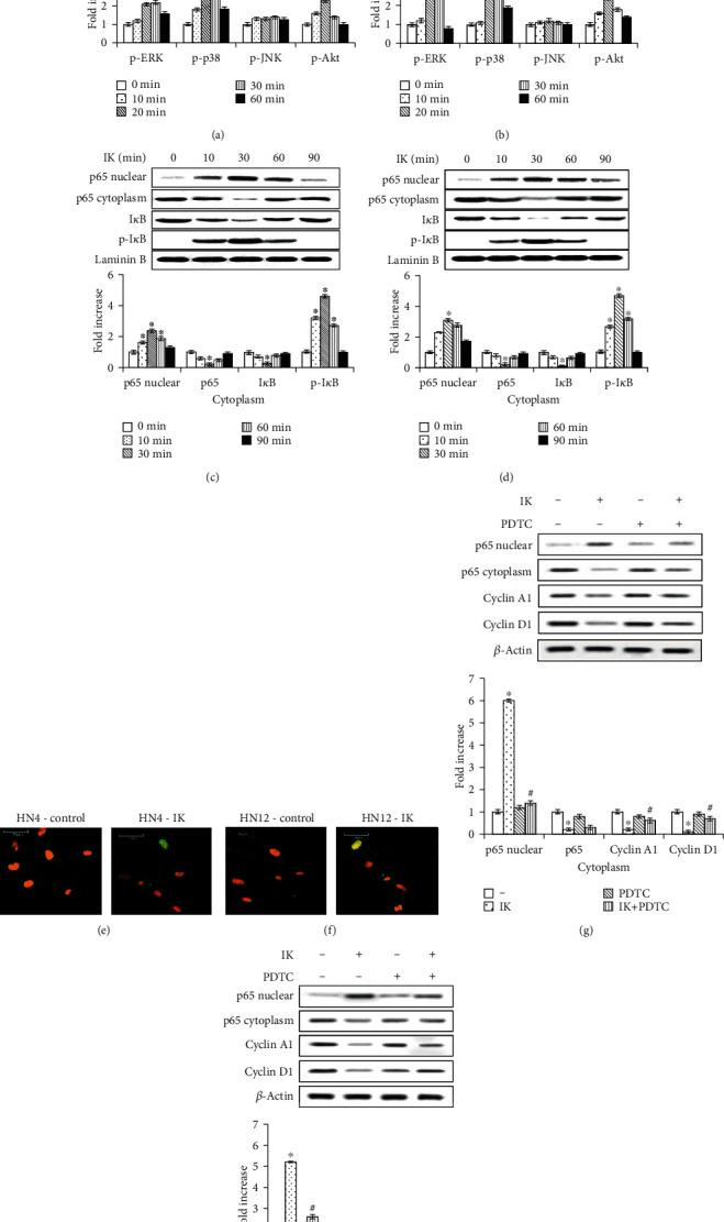 https://cdn.ncbi.nlm.nih.gov/pmc/blobs/2fd1/7586167/b54abf046098/BMRI2020-5464068.001.jpg