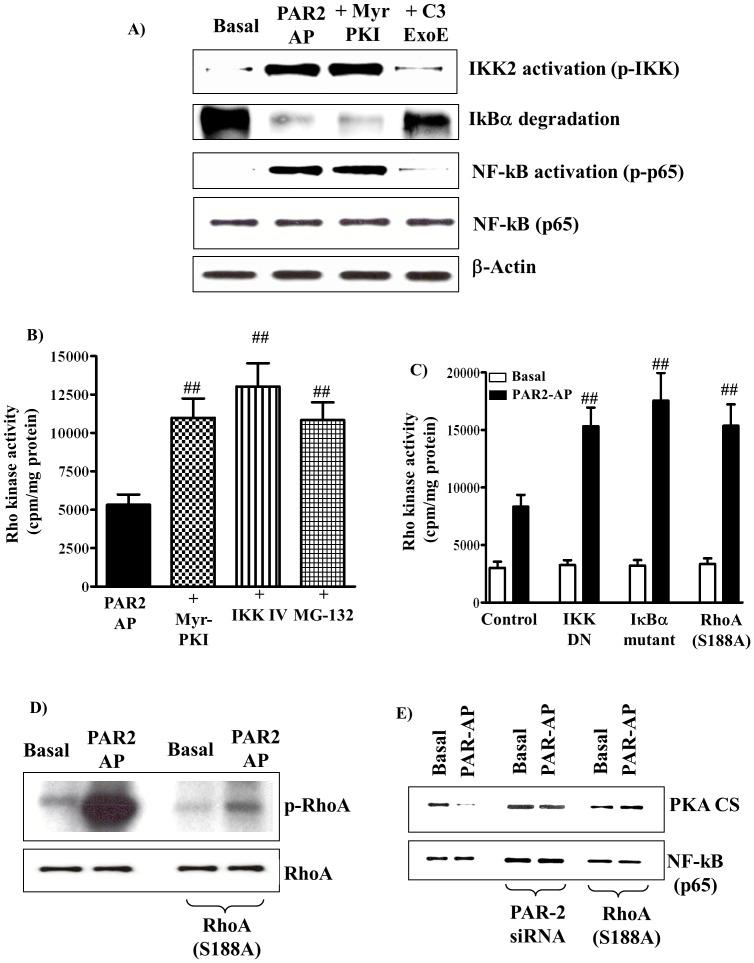 https://cdn.ncbi.nlm.nih.gov/pmc/blobs/2fd2/3688948/456f9a4b26b1/pone.0066743.g006.jpg