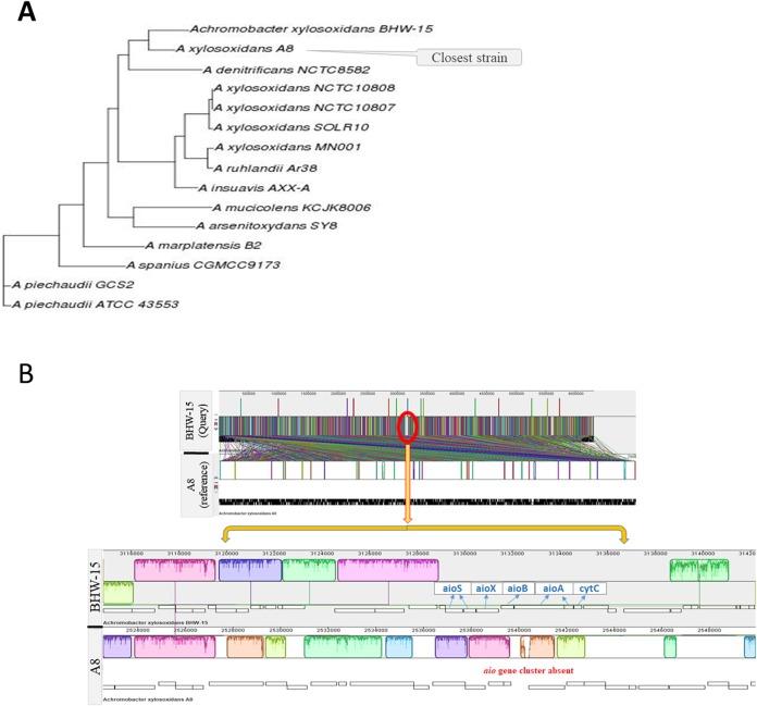 https://cdn.ncbi.nlm.nih.gov/pmc/blobs/2fd3/6421061/9016081a386b/peerj-07-6537-g003.jpg