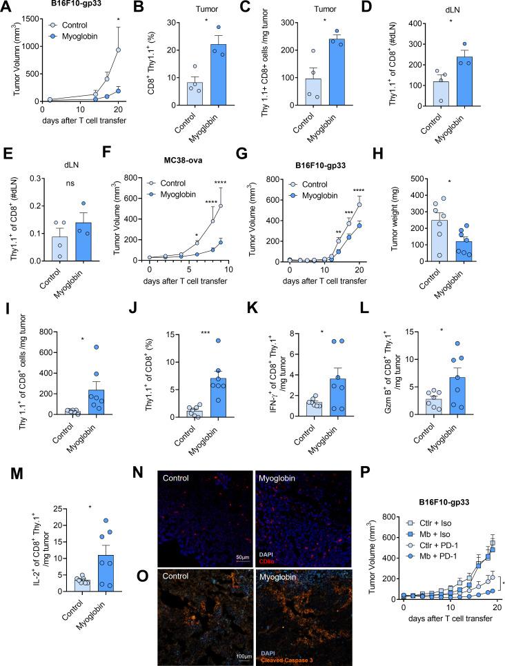 https://cdn.ncbi.nlm.nih.gov/pmc/blobs/2fd6/12142173/2250708bbc85/jitc-13-6-g006.jpg