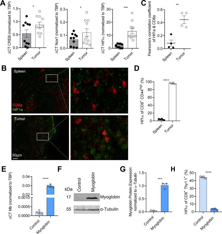https://cdn.ncbi.nlm.nih.gov/pmc/blobs/2fd6/12142173/4e64790b8792/jitc-13-6-g001.jpg