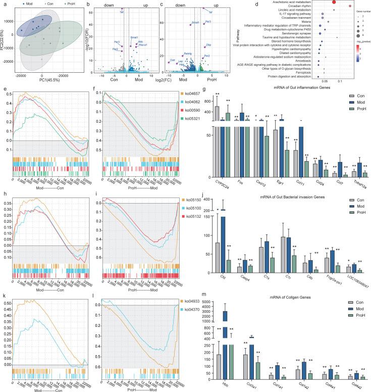 https://cdn.ncbi.nlm.nih.gov/pmc/blobs/2fd6/12282120/7695cf714d3f/msystems.00369-25.f005.jpg