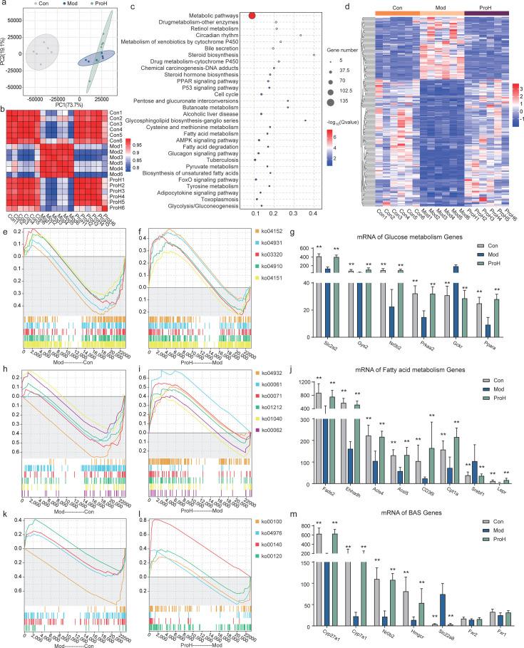 https://cdn.ncbi.nlm.nih.gov/pmc/blobs/2fd6/12282120/840f760ae16c/msystems.00369-25.f006.jpg