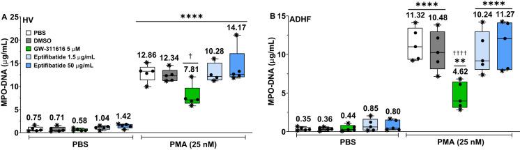 https://cdn.ncbi.nlm.nih.gov/pmc/blobs/2fd6/12398050/69cb5c344607/12865_2025_742_Fig5_HTML.jpg