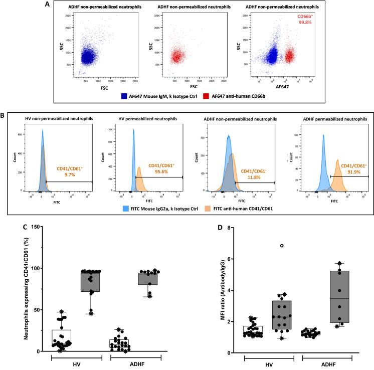 https://cdn.ncbi.nlm.nih.gov/pmc/blobs/2fd6/12398050/cd512df7e26c/12865_2025_742_Fig1_HTML.jpg