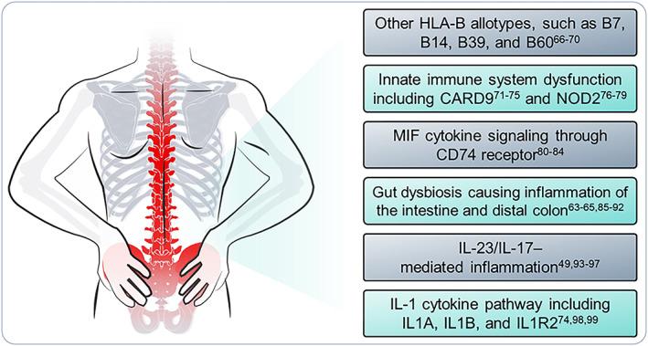 https://cdn.ncbi.nlm.nih.gov/pmc/blobs/2fd8/10349221/e862cd1677b3/ACR2-5-333-g003.jpg