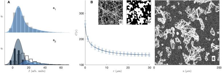 https://cdn.ncbi.nlm.nih.gov/pmc/blobs/2fd8/9936192/207374a18488/fimmu-13-988502-g006.jpg