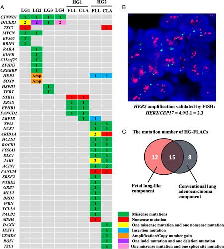 https://cdn.ncbi.nlm.nih.gov/pmc/blobs/2fda/8508719/52269735633e/pas-45-1464-g005.jpg