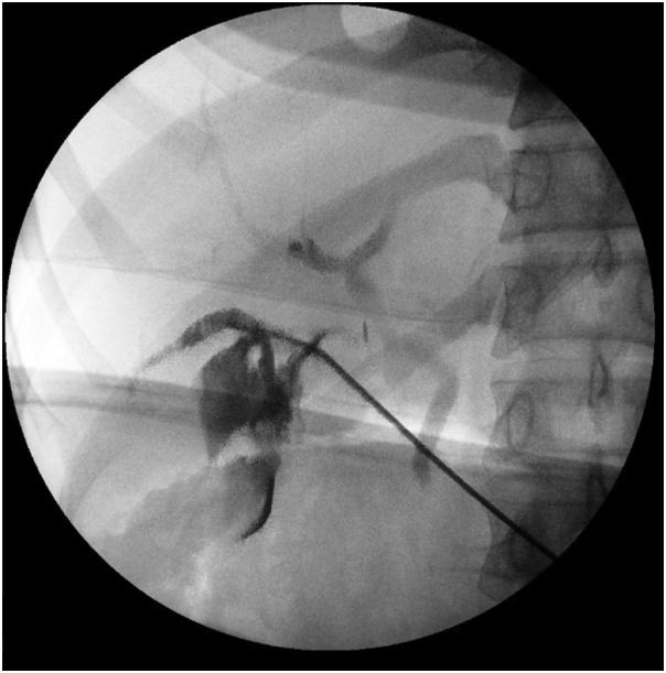 https://cdn.ncbi.nlm.nih.gov/pmc/blobs/2fdb/6407078/b70e398651a9/gr3.jpg