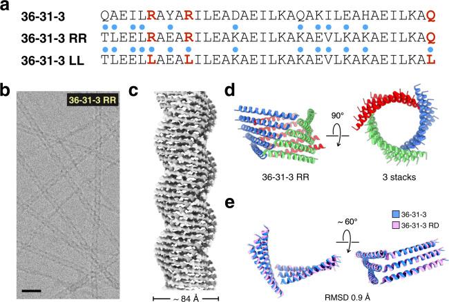https://cdn.ncbi.nlm.nih.gov/pmc/blobs/2fde/7814010/236c00d0c85d/41467_2020_20689_Fig7_HTML.jpg