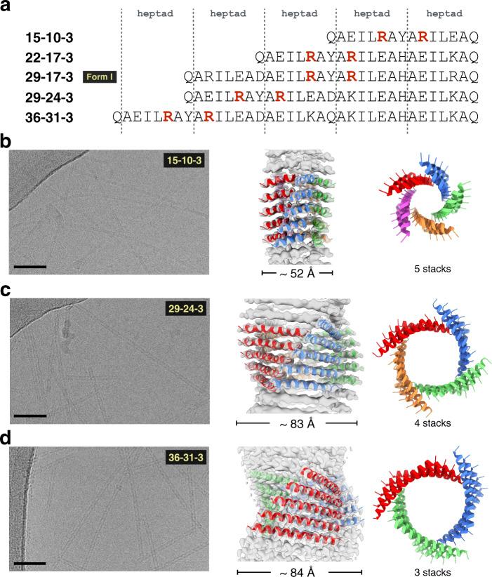 https://cdn.ncbi.nlm.nih.gov/pmc/blobs/2fde/7814010/79904dfad057/41467_2020_20689_Fig2_HTML.jpg