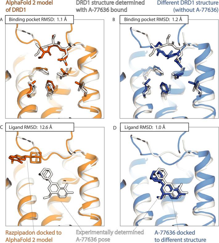 https://cdn.ncbi.nlm.nih.gov/pmc/blobs/2fe0/10746139/7bca6fc3c09e/elife-89386-fig3-figsupp1.jpg