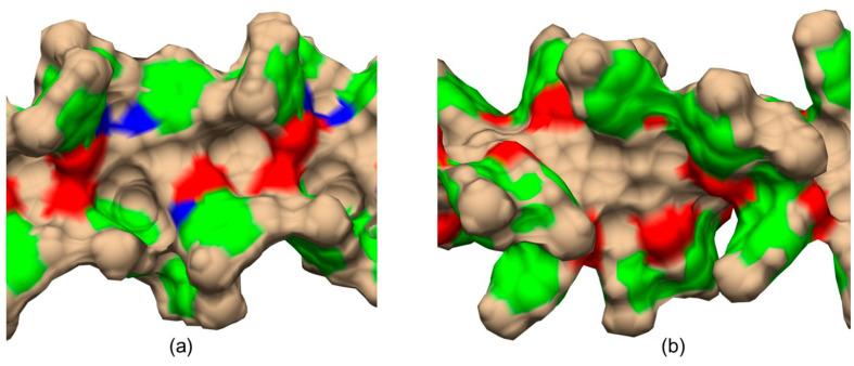 https://cdn.ncbi.nlm.nih.gov/pmc/blobs/2fe1/10647714/9afe954154d2/molecules-28-07419-g012.jpg