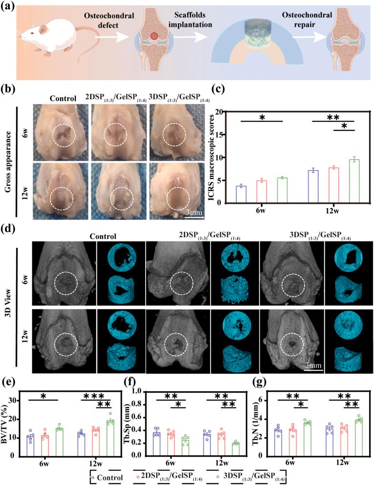 https://cdn.ncbi.nlm.nih.gov/pmc/blobs/2fe2/12018571/5656402601ef/gr6.jpg