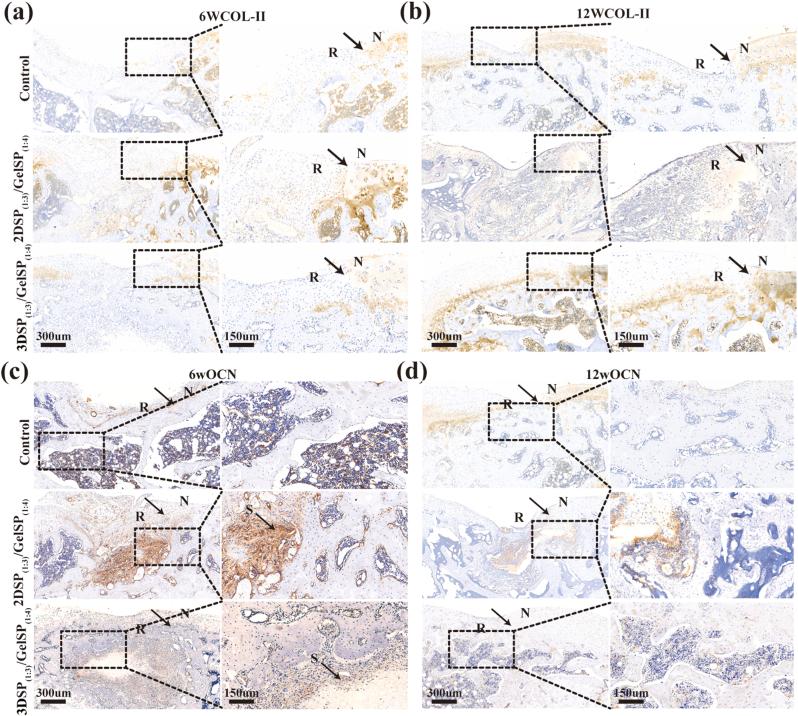 https://cdn.ncbi.nlm.nih.gov/pmc/blobs/2fe2/12018571/5e8064617522/gr8.jpg