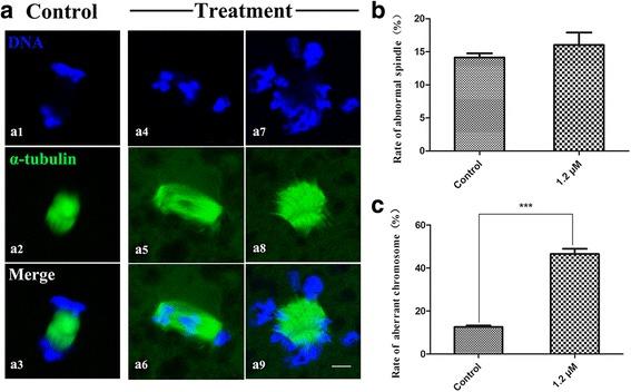 https://cdn.ncbi.nlm.nih.gov/pmc/blobs/2fe2/5575893/5ae5d74aa844/12958_2017_289_Fig5_HTML.jpg