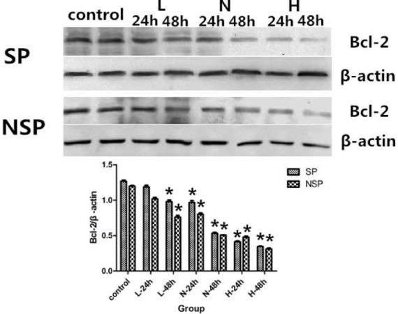 https://cdn.ncbi.nlm.nih.gov/pmc/blobs/2fe3/5566137/d5b335ed04bf/AJTCAM-13-145-g008.jpg