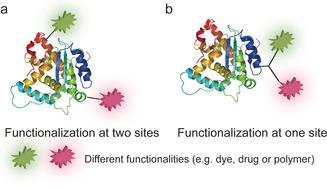 https://cdn.ncbi.nlm.nih.gov/pmc/blobs/2fe4/8248073/5523ea83da91/ANIE-60-13757-g009.jpg