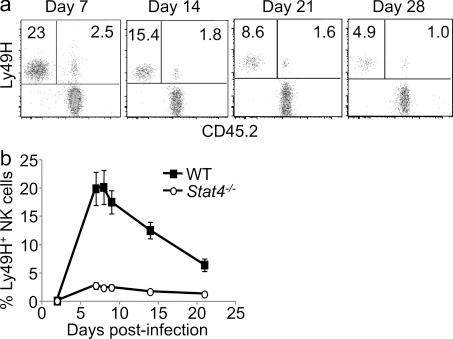 https://cdn.ncbi.nlm.nih.gov/pmc/blobs/2fe7/3348098/1c8fe609aed4/JEM_20111760_Fig5.jpg