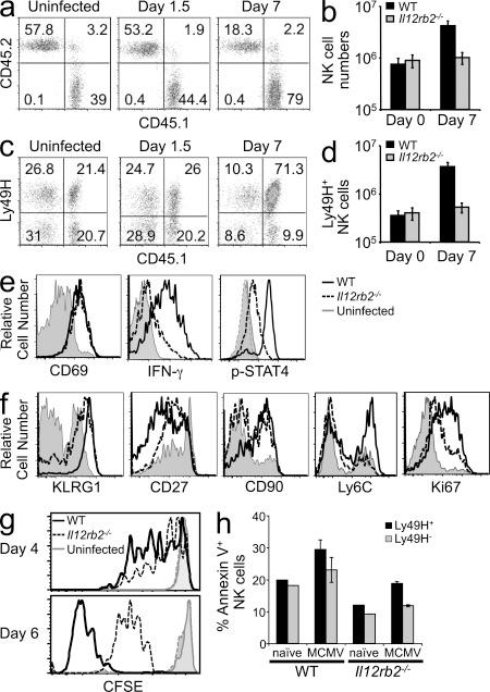https://cdn.ncbi.nlm.nih.gov/pmc/blobs/2fe7/3348098/72a590ccb280/JEM_20111760_Fig2.jpg