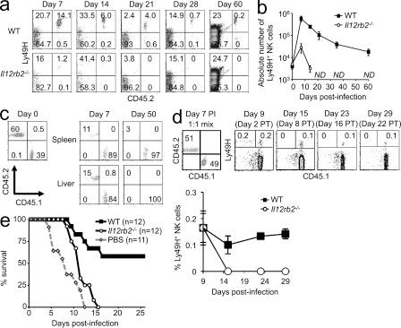https://cdn.ncbi.nlm.nih.gov/pmc/blobs/2fe7/3348098/beee704c9413/JEM_20111760_Fig3.jpg
