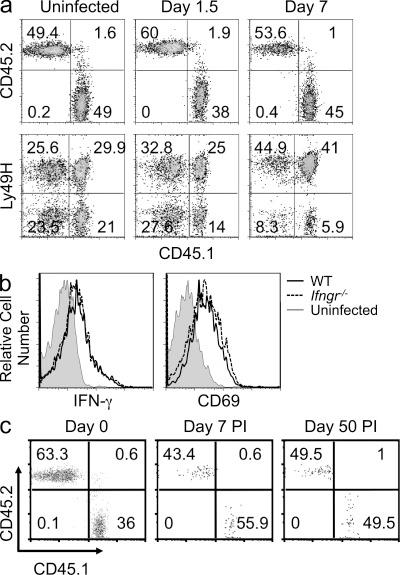 https://cdn.ncbi.nlm.nih.gov/pmc/blobs/2fe7/3348098/dc121dd64ed1/JEM_20111760_Fig6.jpg