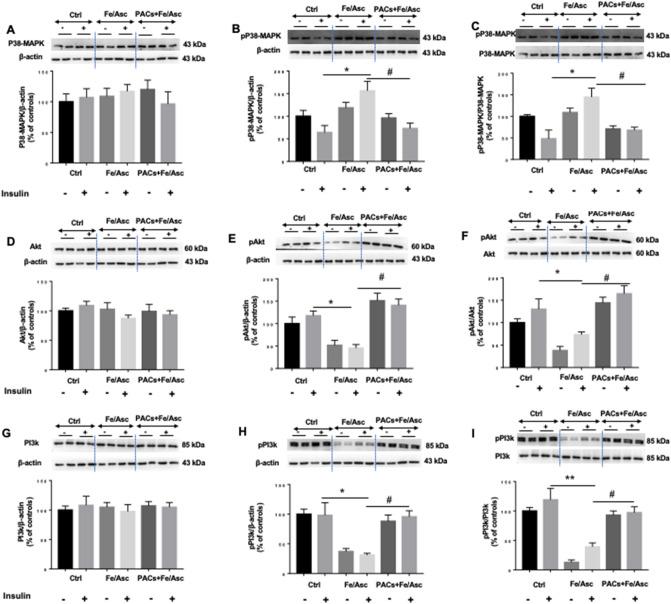 https://cdn.ncbi.nlm.nih.gov/pmc/blobs/2fe7/7886900/4d9c6bd63739/41598_2020_80587_Fig7_HTML.jpg