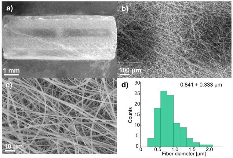 https://cdn.ncbi.nlm.nih.gov/pmc/blobs/2fe9/12157572/79cf93d8cb91/polymers-17-01510-g003.jpg